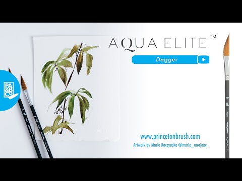 Pincel Princeton AQUA ELITE - DAGGER